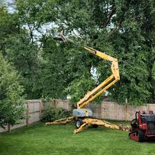 Unalaska, AK Tree Services Company